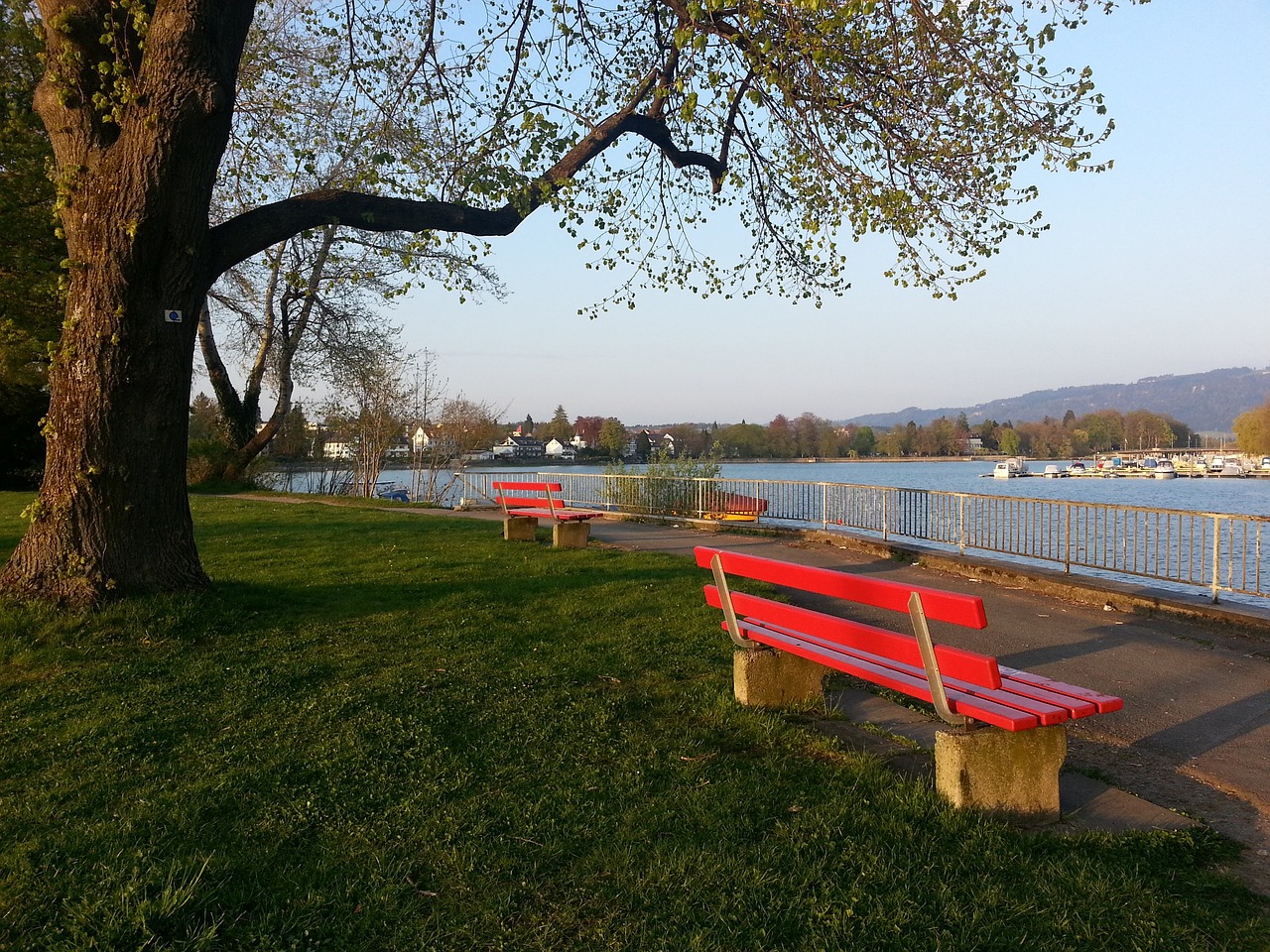 己的马拉松 己的马拉松