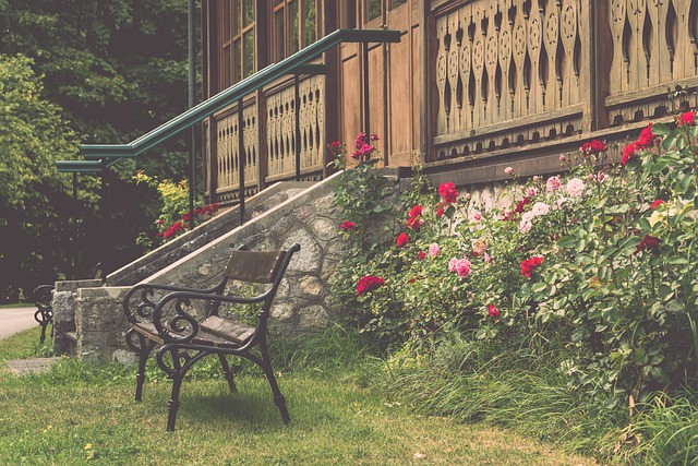 手的天赋 手的天赋