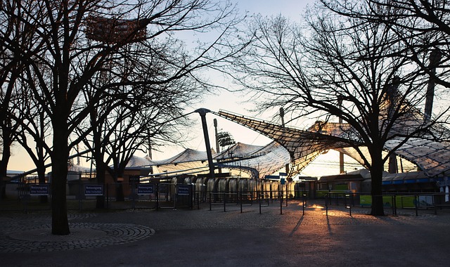 身能力的证 身能力的证