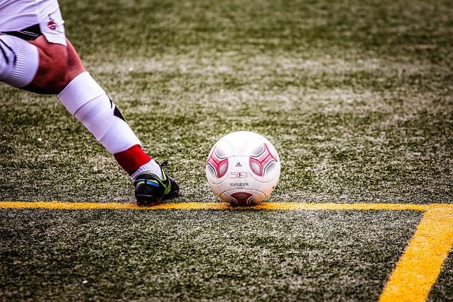 致力于通过 致力于通过