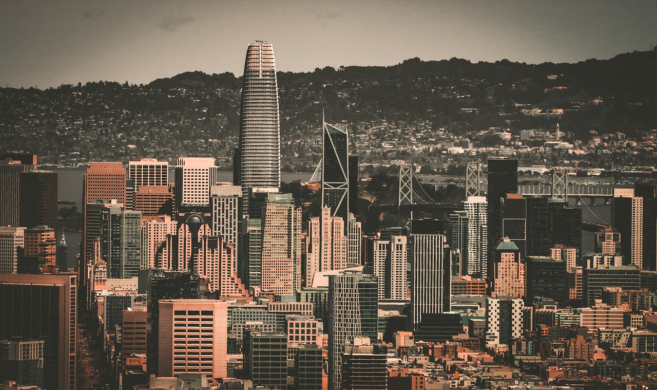 球场上闪耀 球场上闪耀