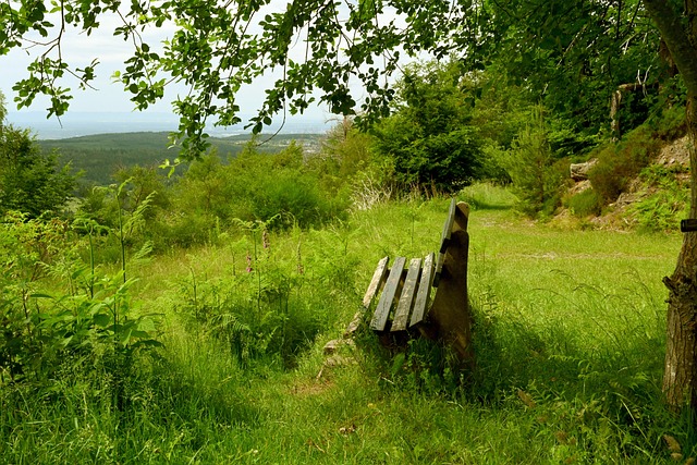 例如引進新 例如引進新