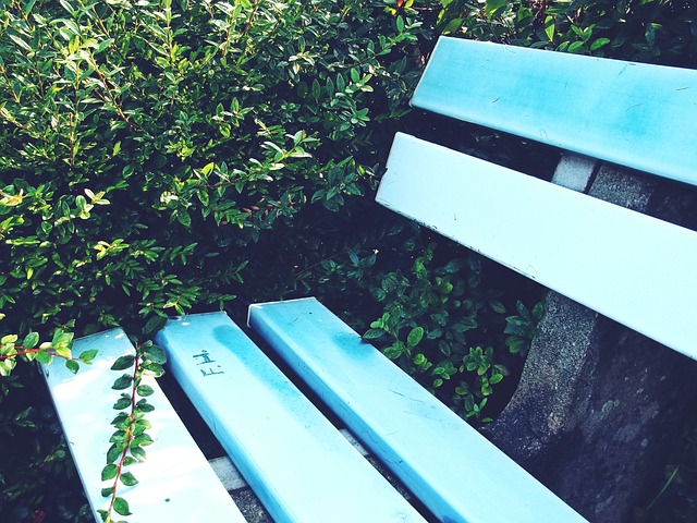 姆韋普的案 姆韋普的案