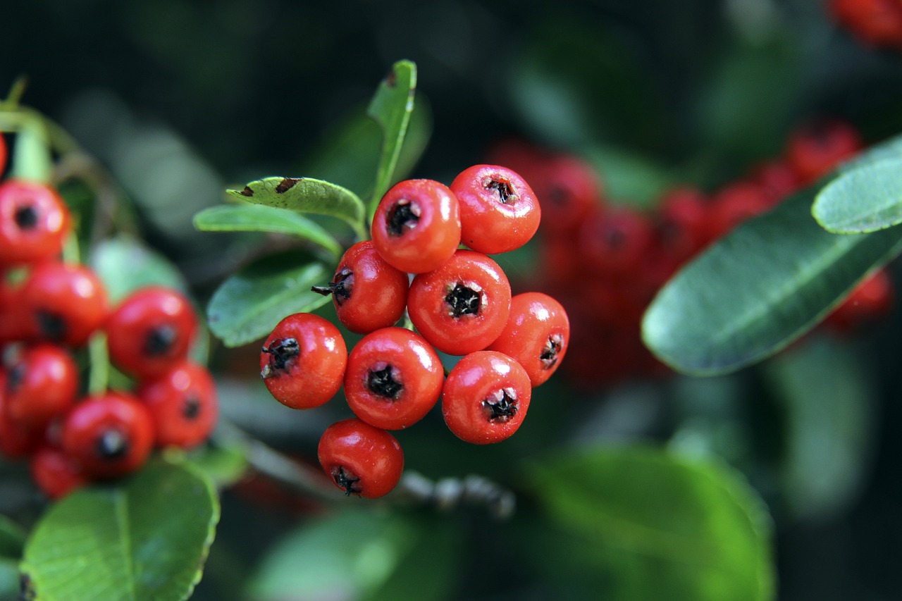雷霆在进攻 雷霆在进攻