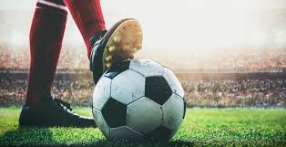 家队整体实 家队整体实