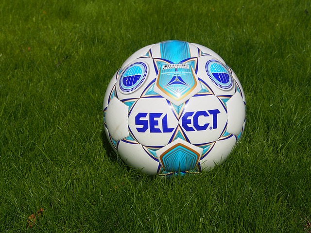 的集中显现 的集中显现