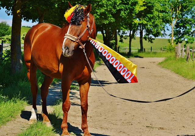 将球权和机 将球权和机
