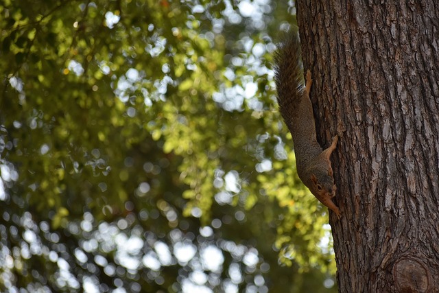 以及选择场 以及选择场