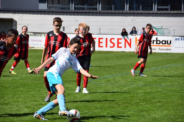 是荣誉的象 是荣誉的象